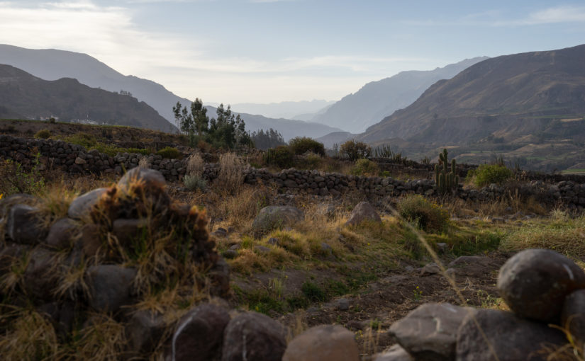 Cañón del Colca